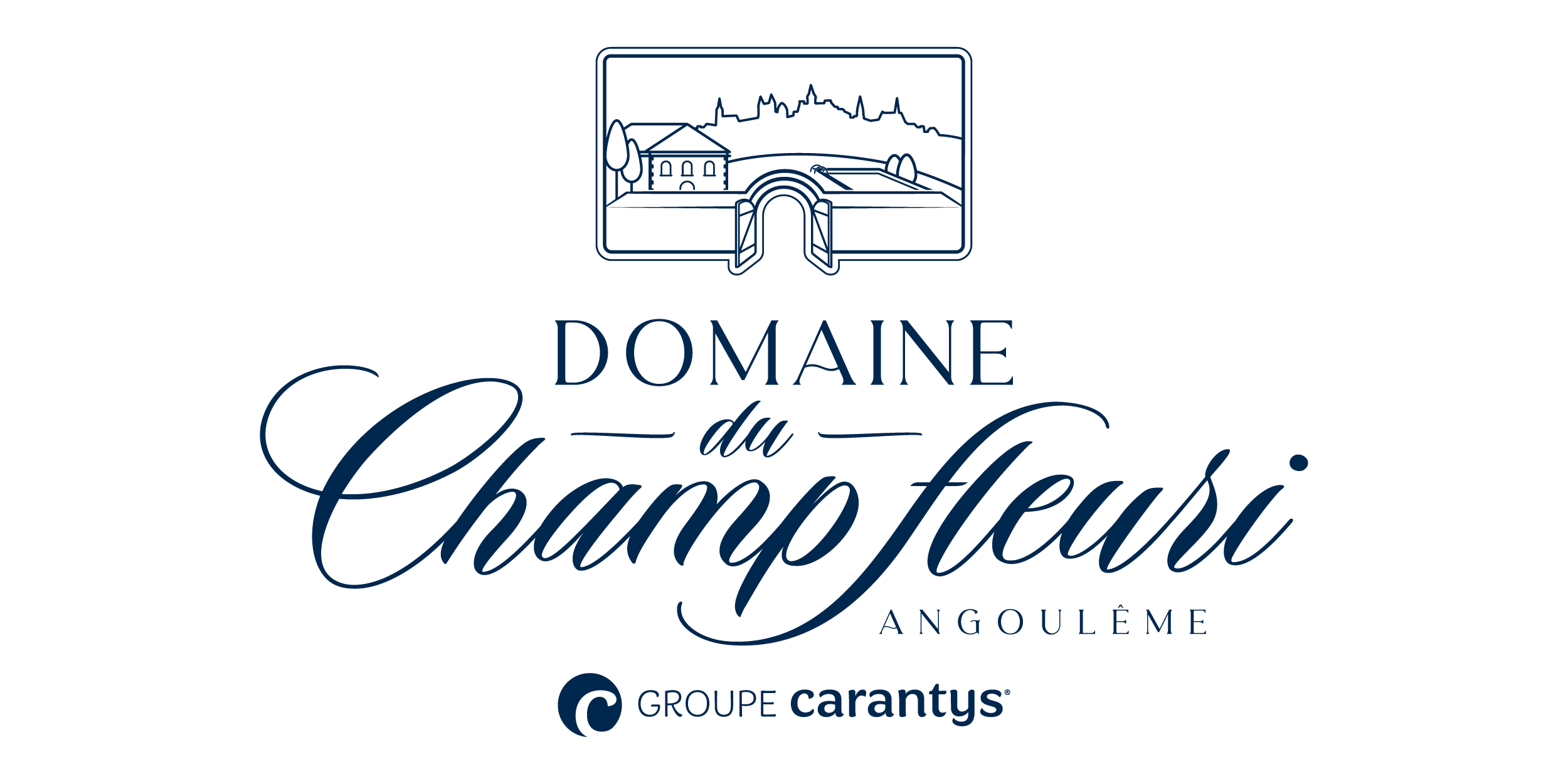 CHAMP FLEURI BLEU GROUPE