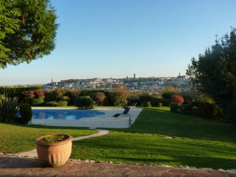 Chambres-dhotes-Champ-Fleuri-Angouleme-Charente-Pisicne-et-vue-Angouleme